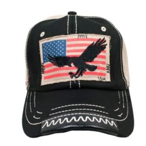 American Eagle Hat